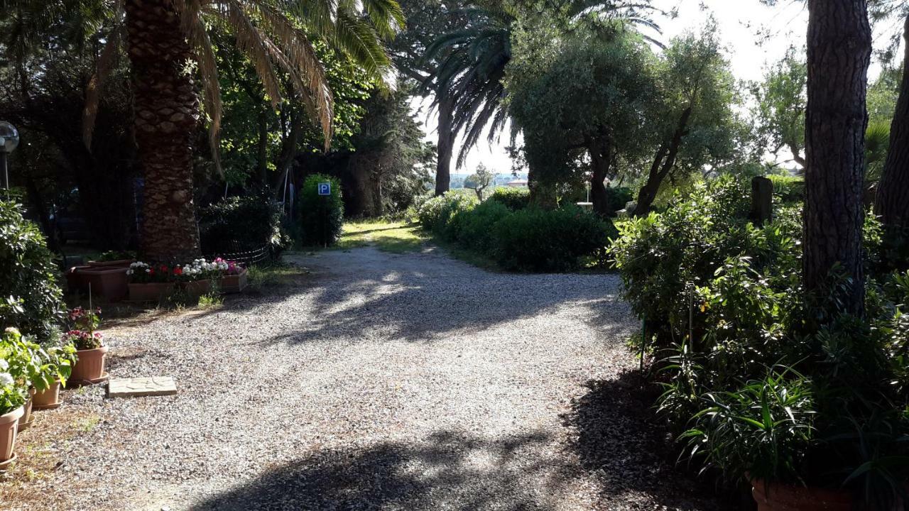 Campo Alle More Cecina  Exterior photo