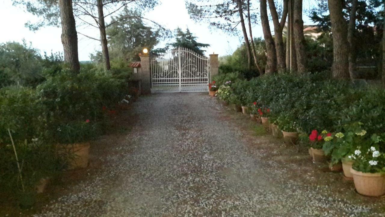 Campo Alle More Cecina  Exterior photo
