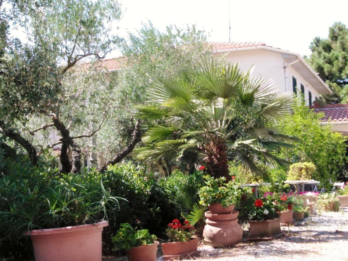 Campo Alle More Cecina  Exterior photo